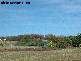 Abbotsford QLD 4670
