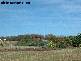Abbotsford QLD 4670