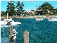 51 Wentworth Street, Shellharbour NSW 2529