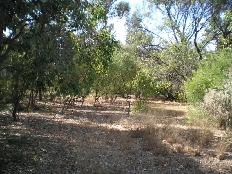 24 warren rd, Nannup WA 6275