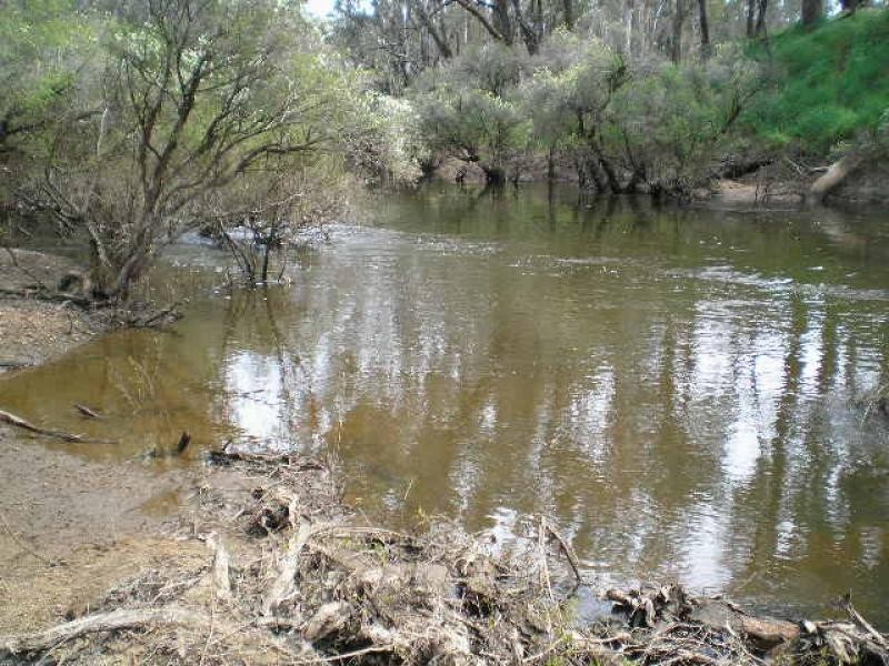 13 Denny Road, Nannup WA 6275