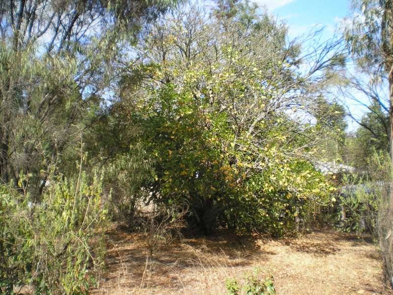 24 warren rd, Nannup WA 6275