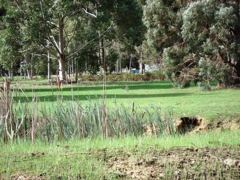 114 James street, North Greenbushes WA 6254