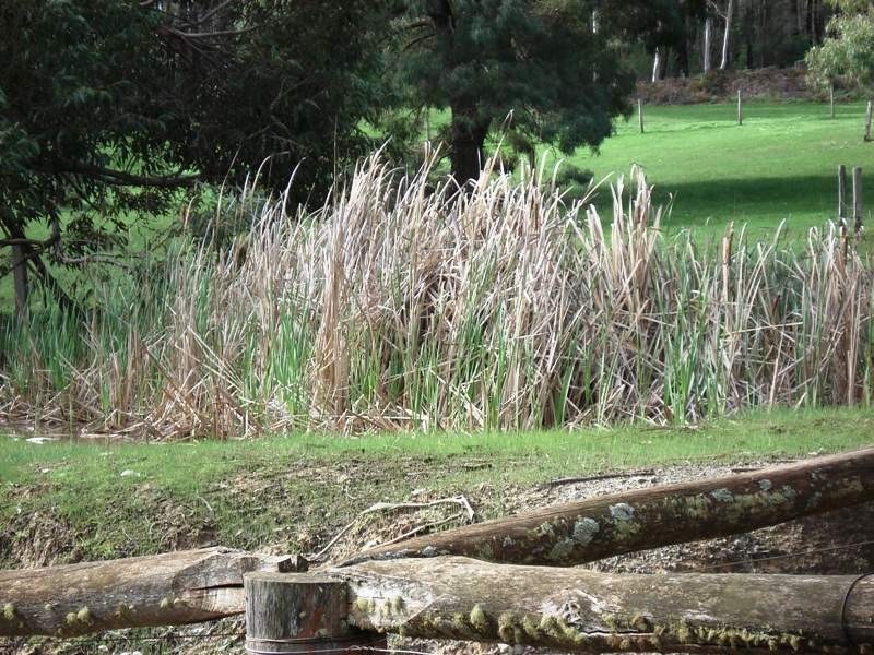 114 James street, North Greenbushes WA 6254