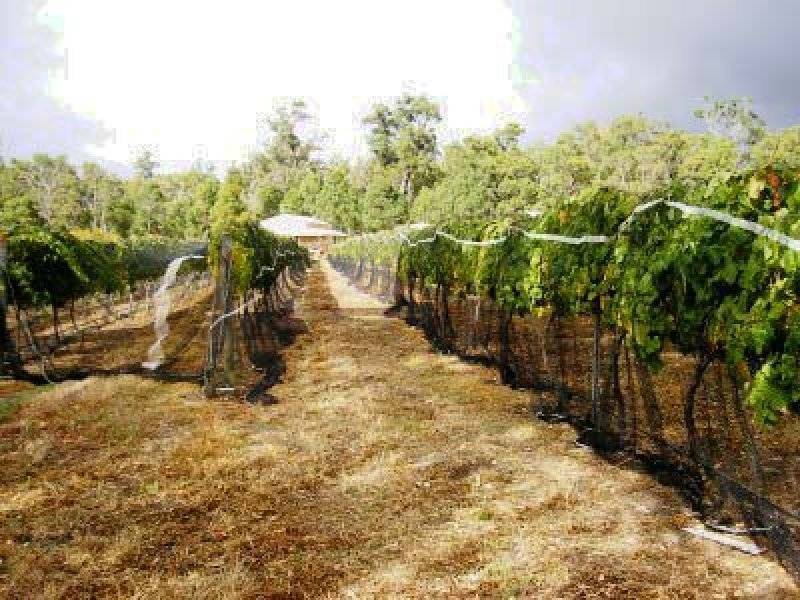 Lot 16 Perks Road, Nannup WA 6275