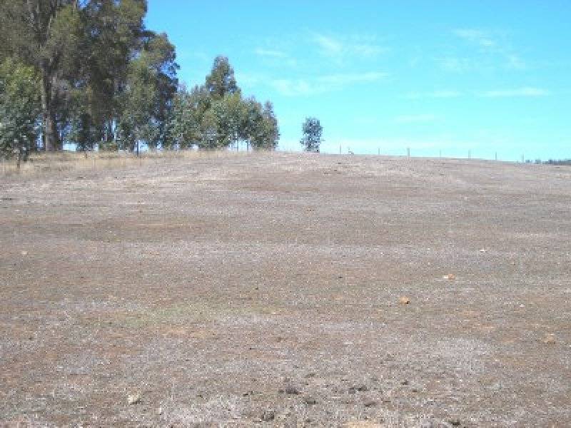 4 Forest View Court, North Greenbushes WA 6254