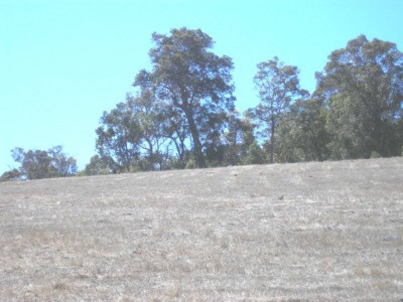 4 Forest View Court, North Greenbushes WA 6254