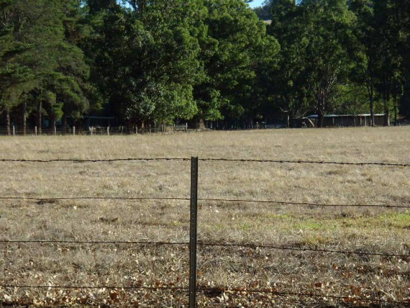 lot 99 East Nannup Road, Nannup WA 6275