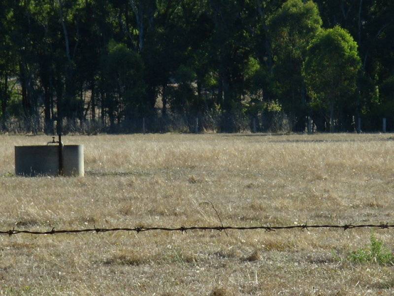 lot 99 East Nannup Road, Nannup WA 6275