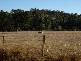 lot 99 East Nannup Road, Nannup WA 6275