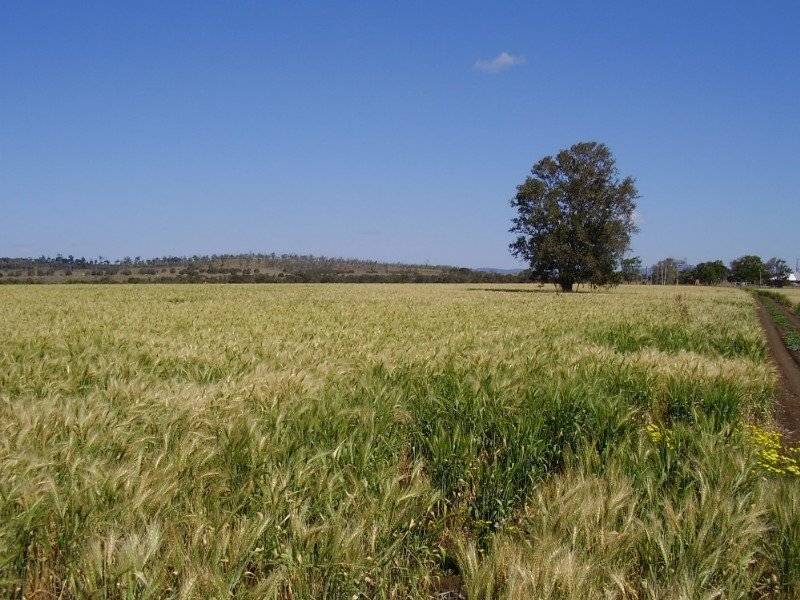 258 Evans Rd, Ridgelands QLD 4702