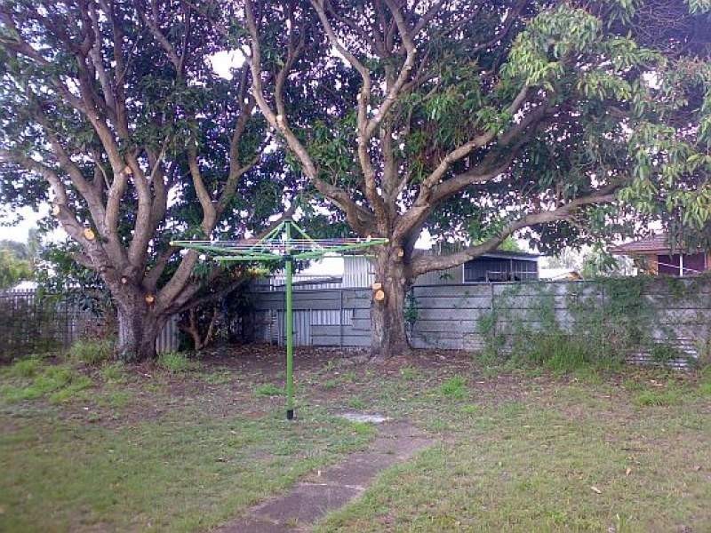 82 Sanderling Street, Inala QLD 4077