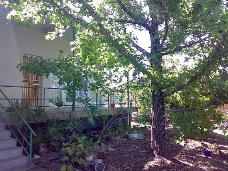 29 Mitchell Street, Acacia Ridge QLD 4110