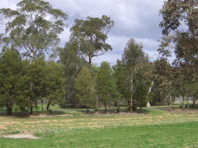 7 Orchid Street, Heathmont VIC 3135