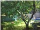 15 Peach Ave, Tumbi Umbi NSW 2261