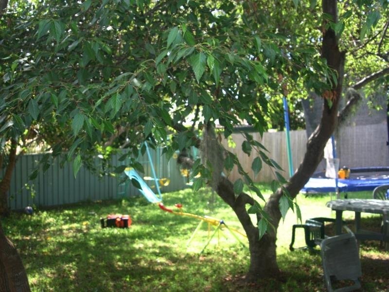15 Peach Ave, Tumbi Umbi NSW 2261