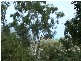 Lot 44 Abell Road, Cannonvale QLD 4802