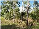 Lot 44 Abell Road, Cannonvale QLD 4802