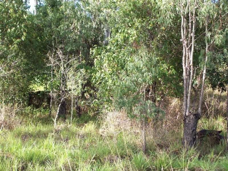 Lot 44 Abell Road, Cannonvale QLD 4802