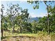 135 Parkland Drive, Cannonvale QLD 4802