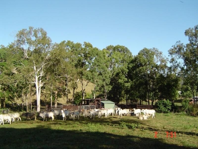 1117 Conway Road, Conway QLD 4800