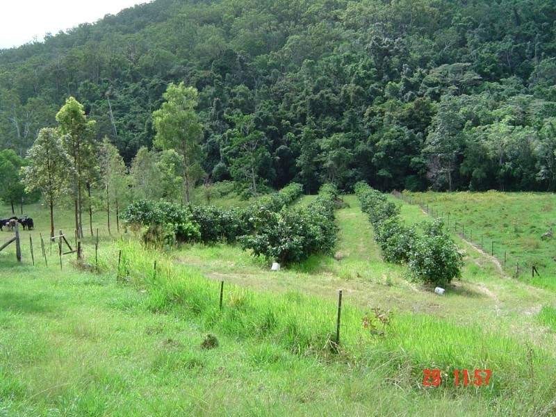 1117 Conway Road, Conway QLD 4800