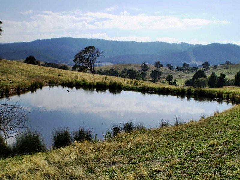 276 Egans Lane, Sandy Creek Rd, Sandy Creek VIC 3695