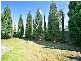 18 Ash Street, Preston VIC 3072