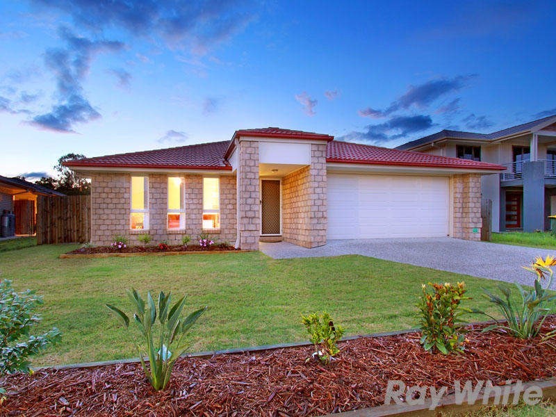 10 Lillydale Street, Carseldine QLD 4034