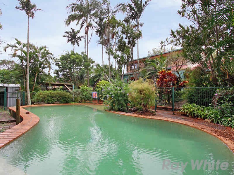 42 Sherry Street, Carseldine QLD 4034