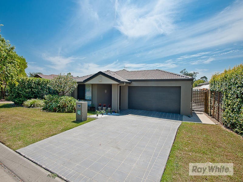 8 Cyperus Crescent, Carseldine QLD 4034