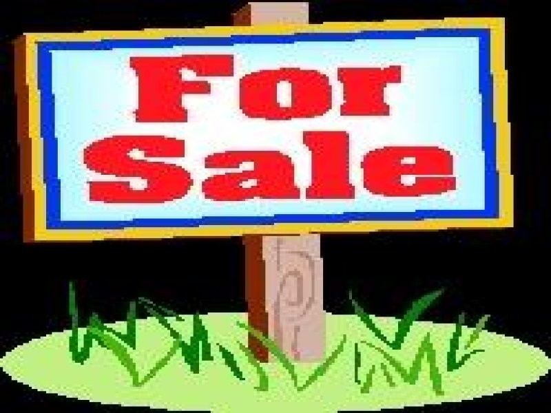 50 Thompson Street, Zillmere QLD 4034