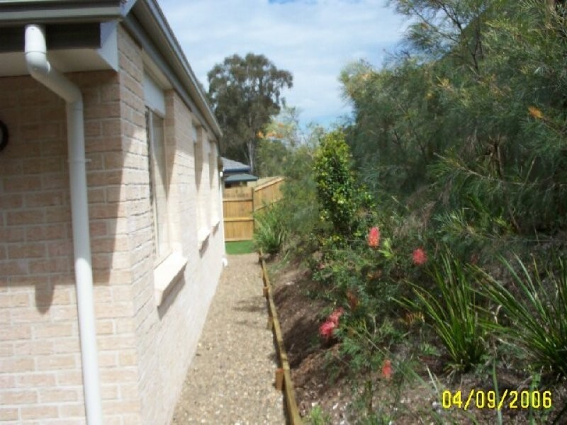 17 Elaine Place, Birkdale QLD 4159