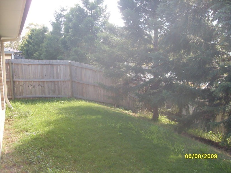 23 Muscari Crescent, Drewvale QLD 4116