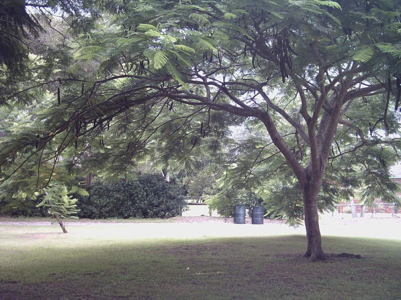 76 Barrett Street, Bracken Ridge QLD 4017