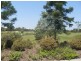 60 Nicklaus Parade, North Lakes QLD 4509