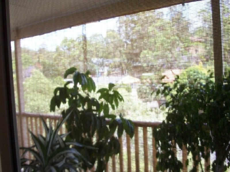 18 Madison Place, Carina QLD 4152