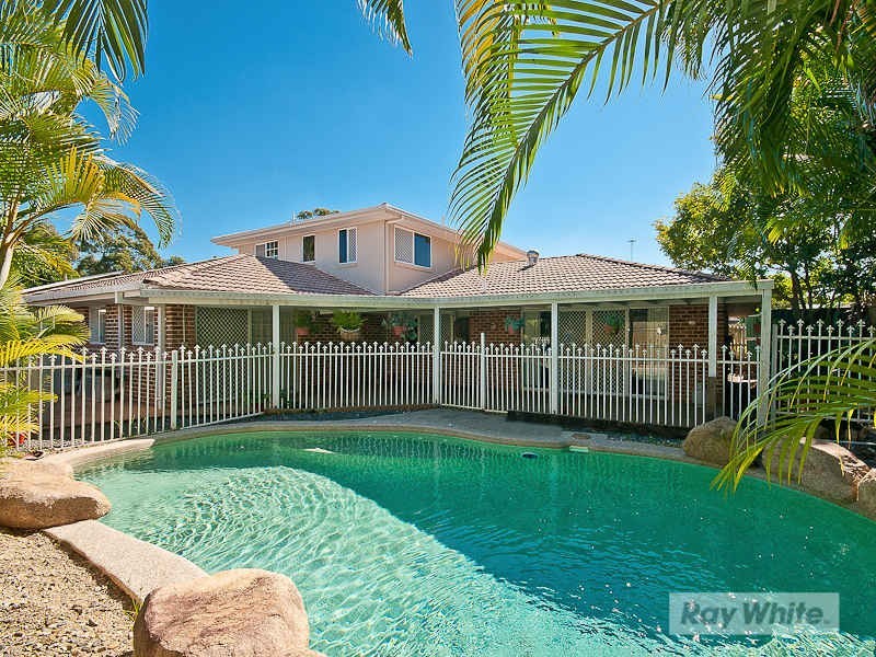 19 David Street, Bracken Ridge QLD 4017