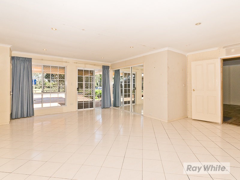 19 David Street, Bracken Ridge QLD 4017