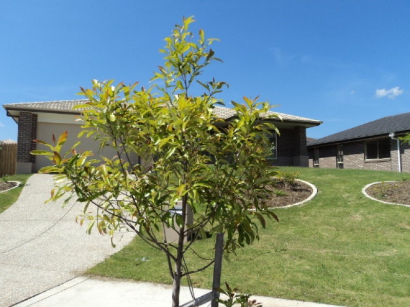 22 Gammon Way, Redbank Plains QLD 4301