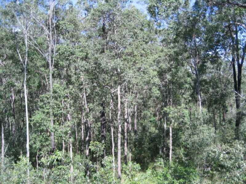 25 Andrew Walker Drive, Goodna QLD 4300