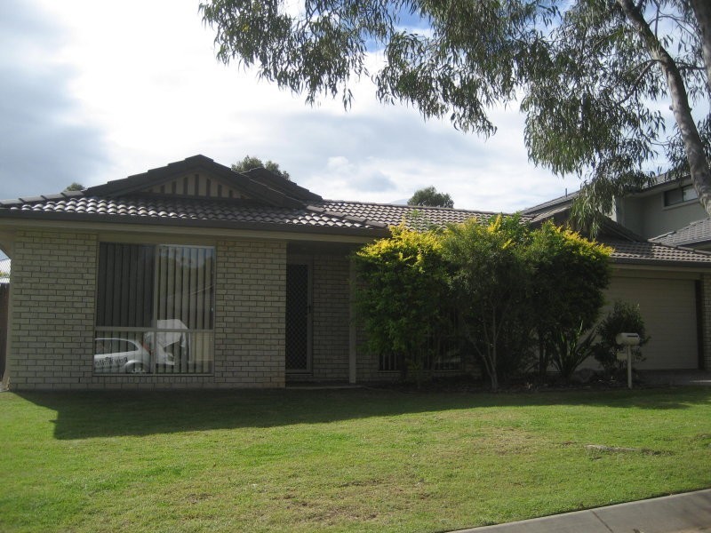 9 Elaine Place, Birkdale QLD 4159