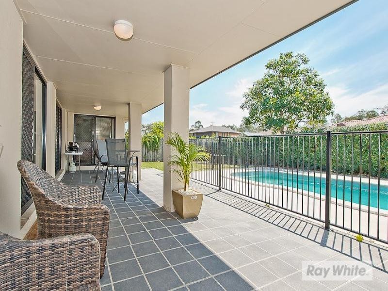 8 Cyperus Crescent, Carseldine QLD 4034
