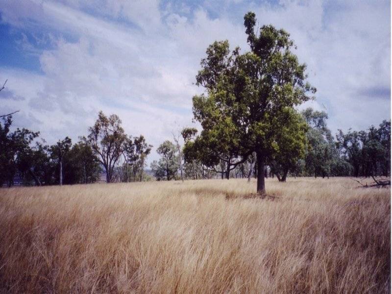 Umbiram QLD 4352