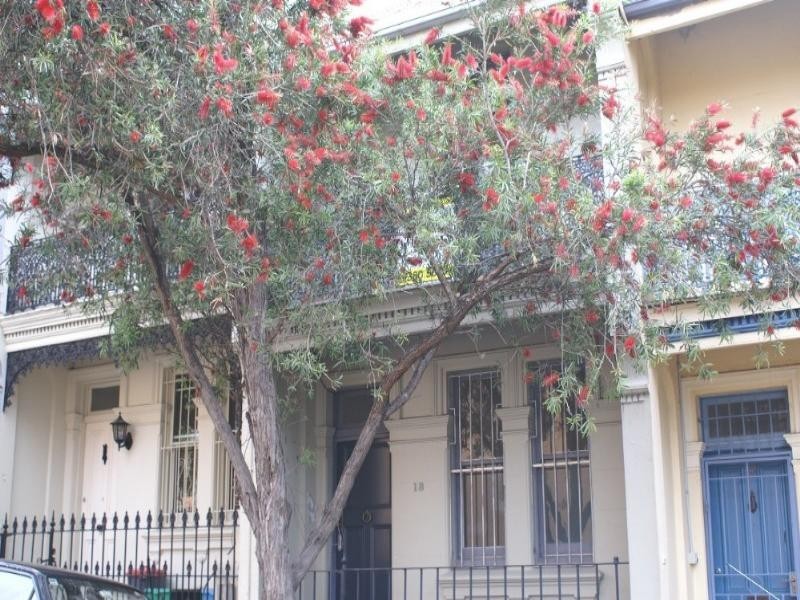 13 Brown Street, Paddington NSW 2021