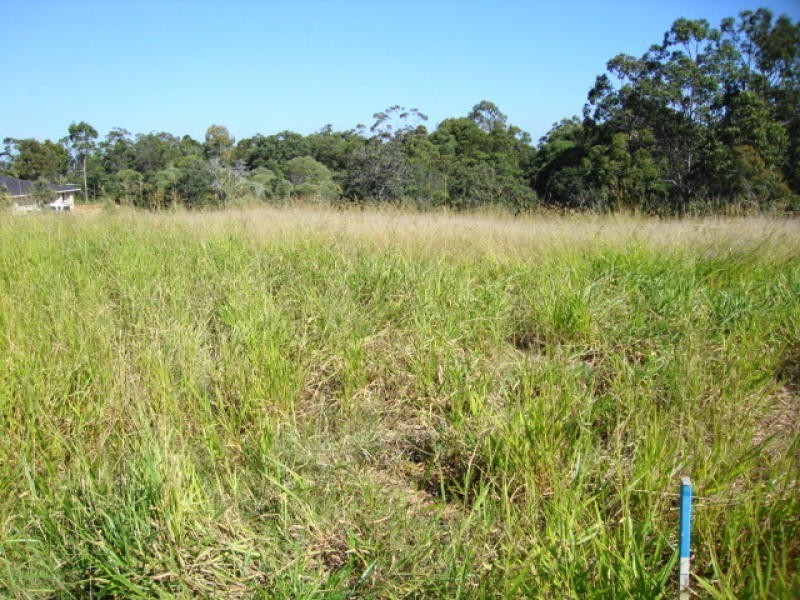 74 Paperbark Circuit, Moggill QLD 4070