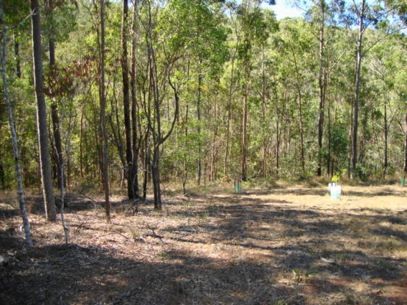 80 Ben Varden Avenue, Kholo QLD 4306