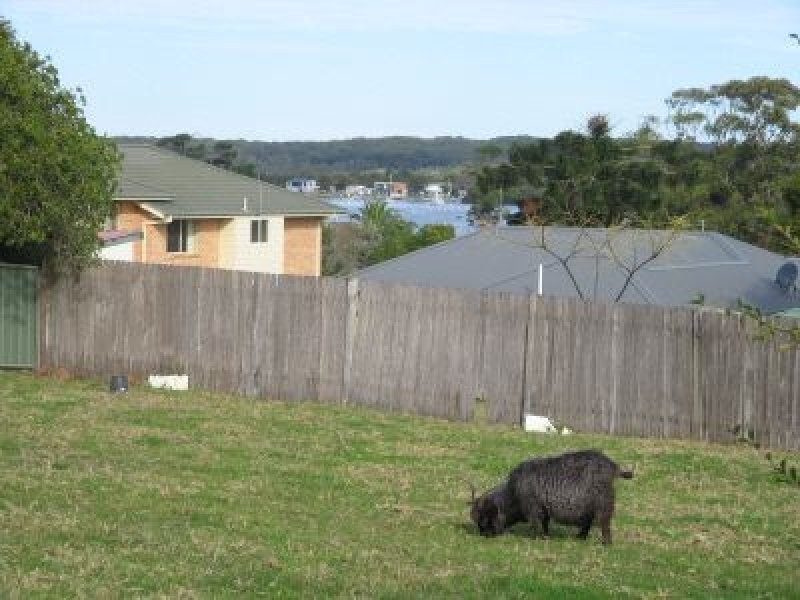 52 Greenwell Point Road, Greenwell Point NSW 2540