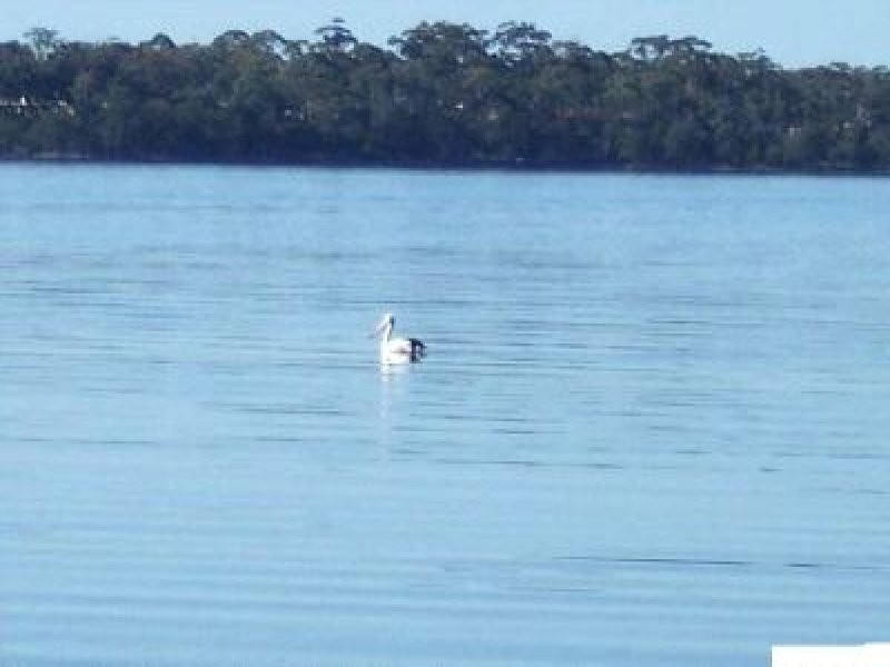 14 Island Point Road, St Georges Basin NSW 2540
