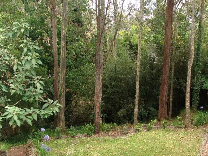 161 Osborne Street, Nowra NSW 2541